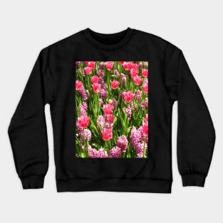 Pink Tulips, Keukenhof Tulip Festival, Holland Crewneck Sweatshirt